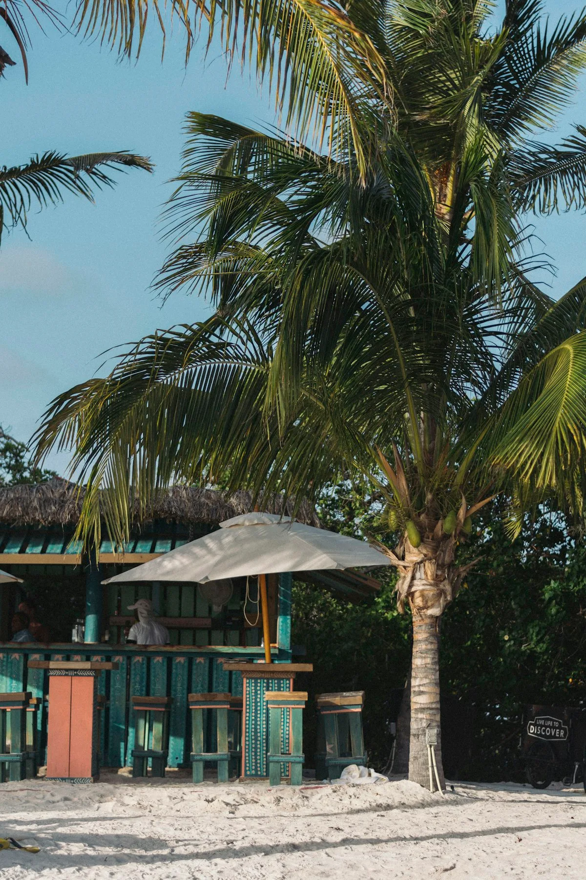 sandals-barbados-guide-2026.jpg