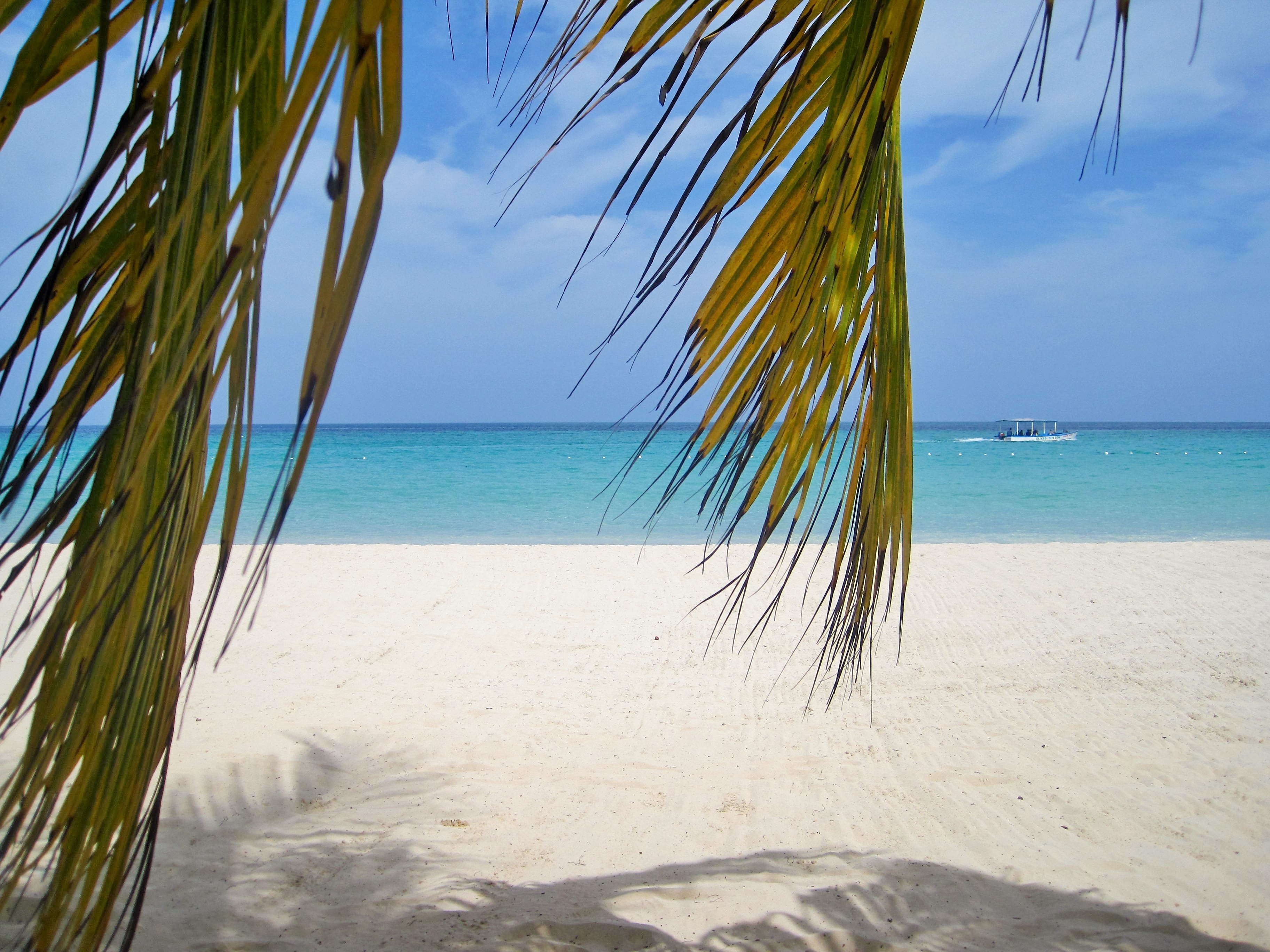 Wide white-sand Caribbean beach with gentle waves and palm trees, perfect for a value-focused all-inclusive stay.