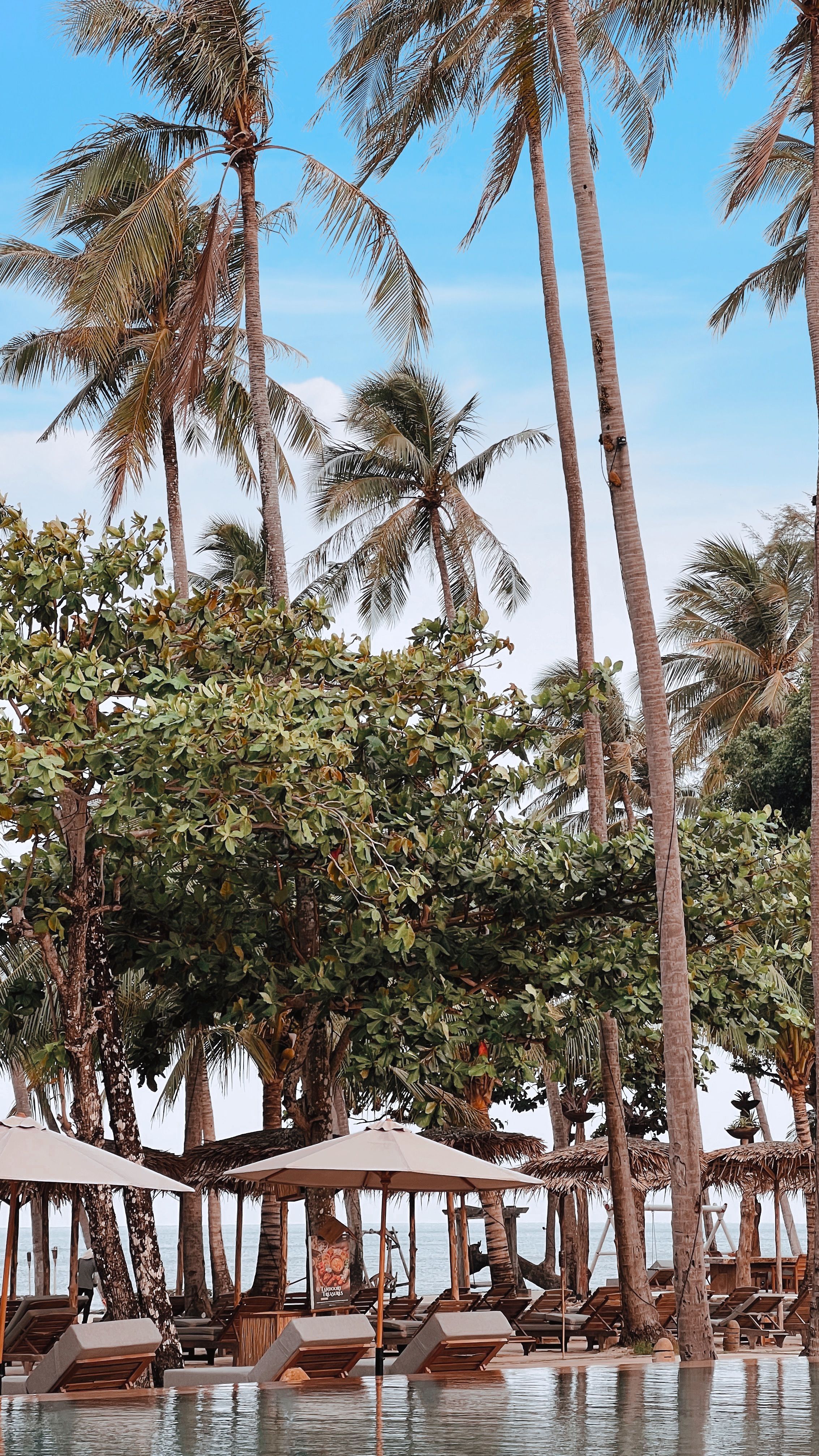 Off-property excursions and adventure activities