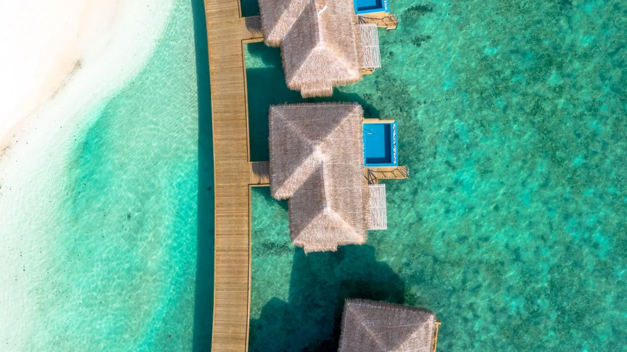 Sandals Barbados guide showing beachfront bar area with relaxed seating and local rum flight service