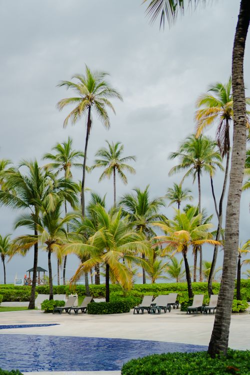 Resort infinity pool with lounge chairs overlooking tropical gardens