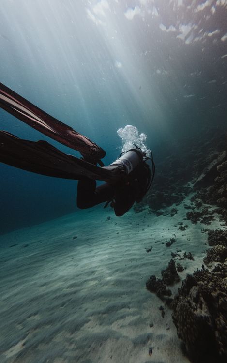 Scuba diver exploring vibrant coral reef surrounded by clear water