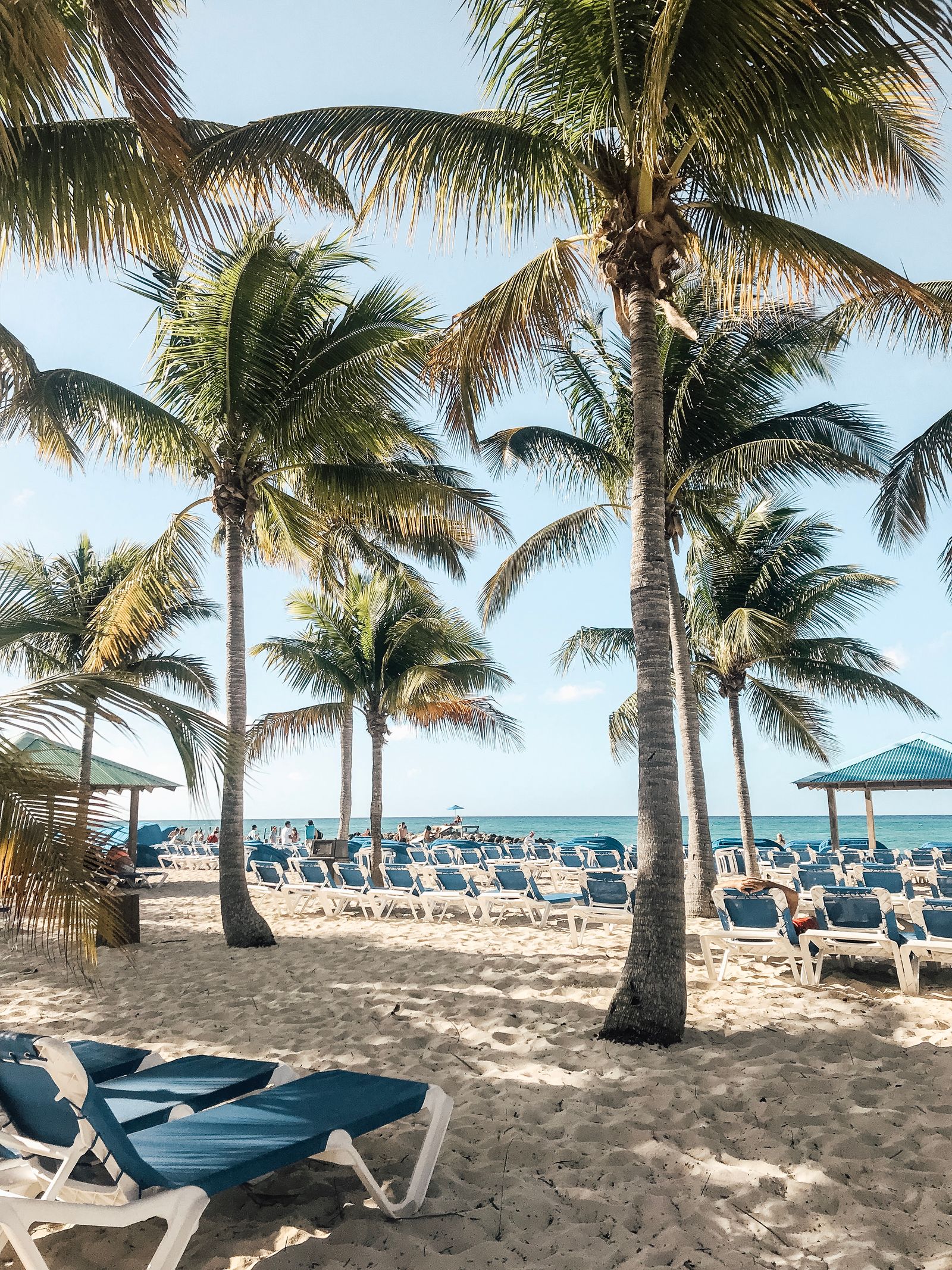 Aerial view of a tropical Bahamian beach with palm trees
