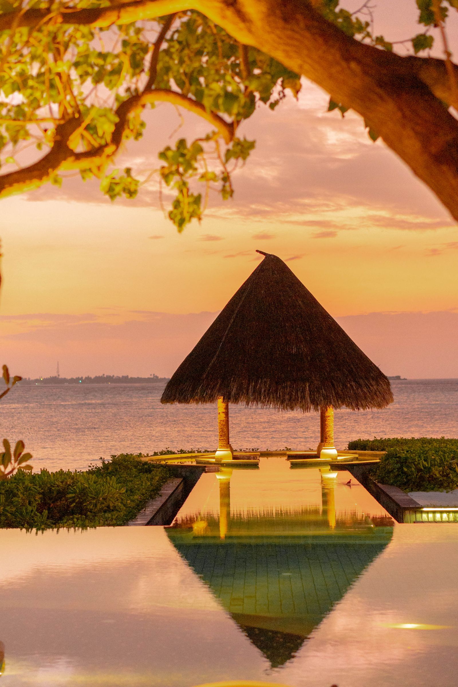 Aerial view of the Belize coast — where jungle meets coral reef in one of the Caribbean's most distinct destinations.
