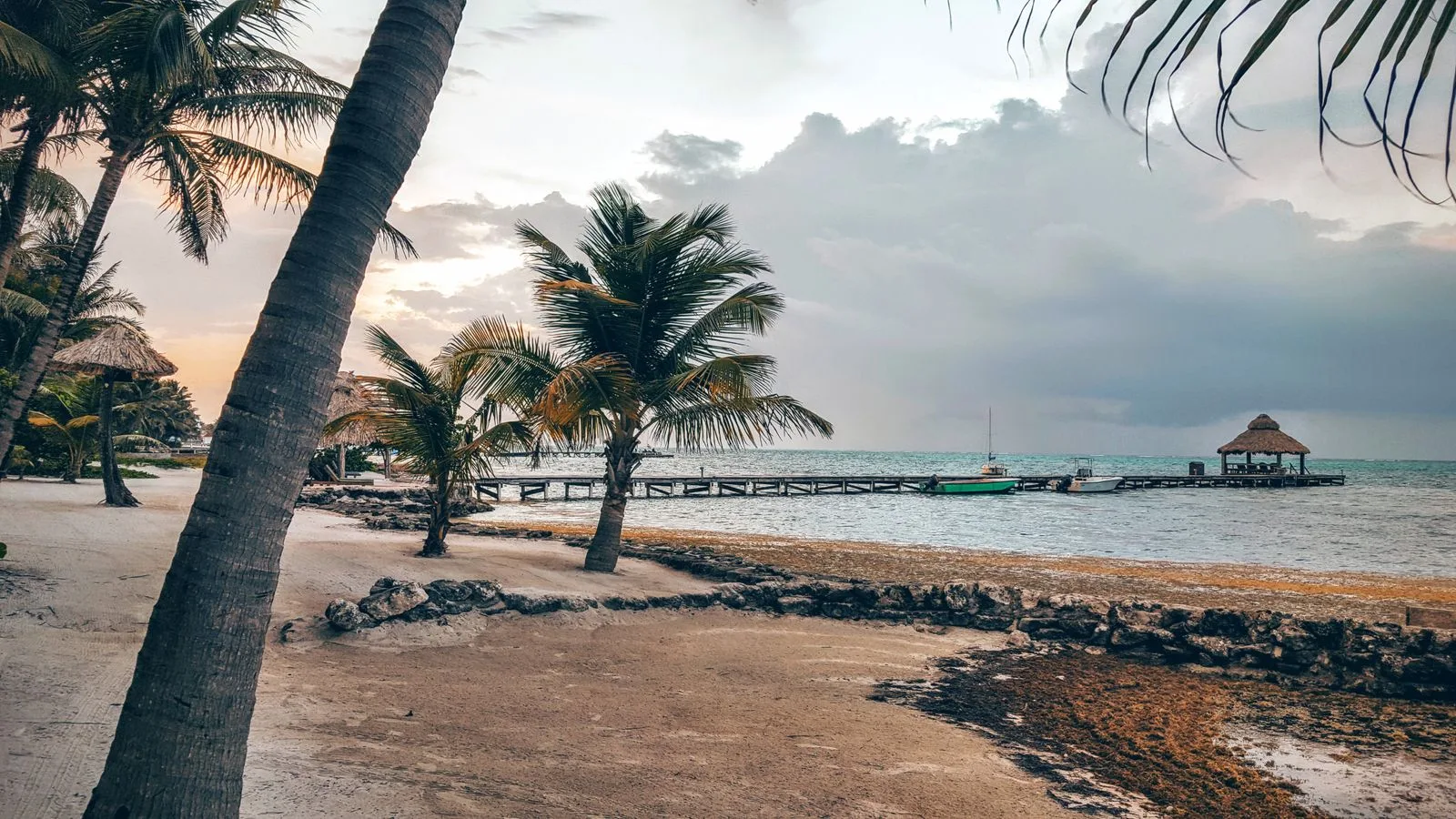 pexels belize palm pier 11602919