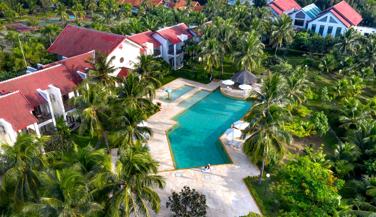 Affordable resort pool with palm tree shade.