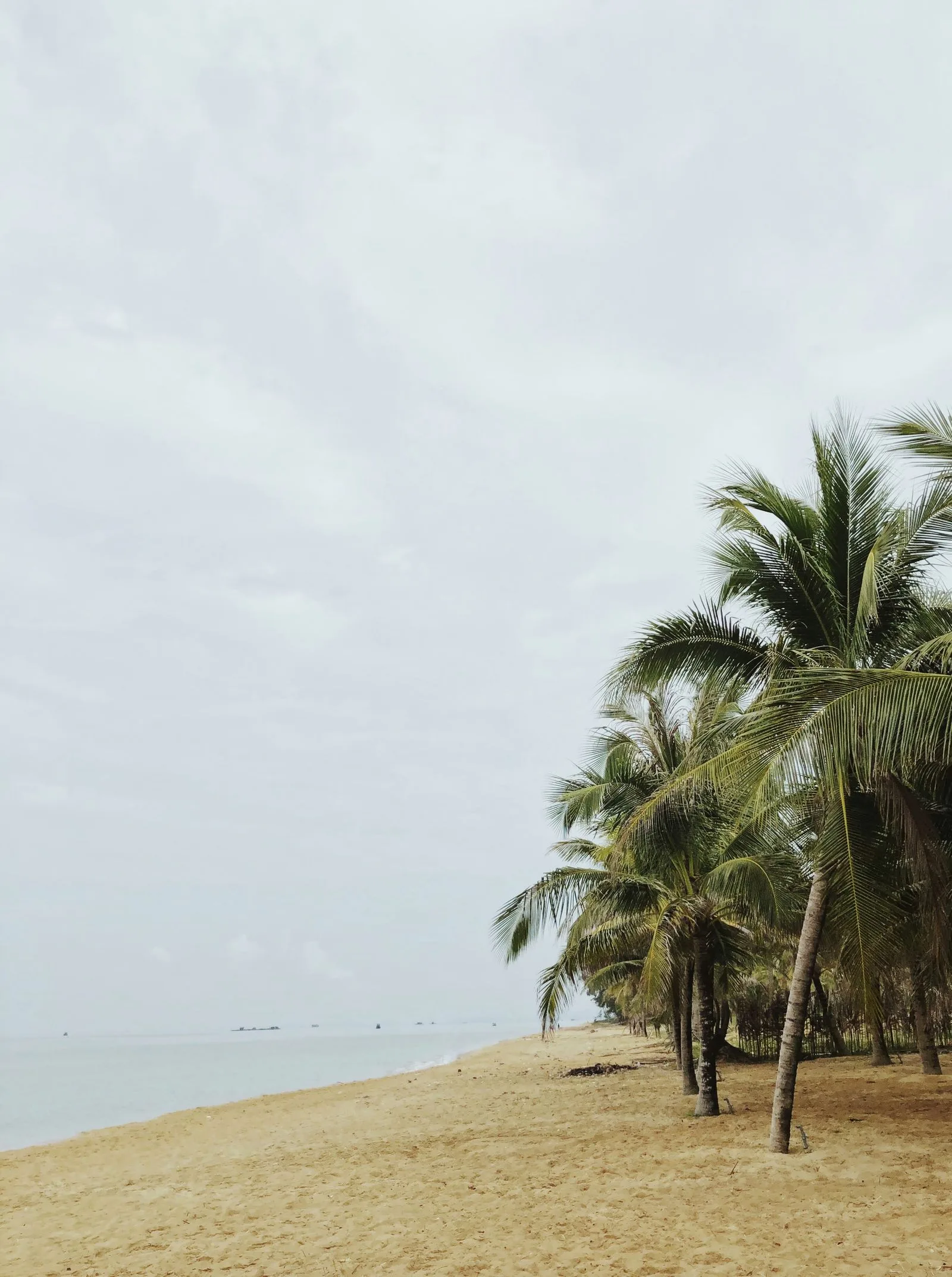 Sandals adventure excursions guide