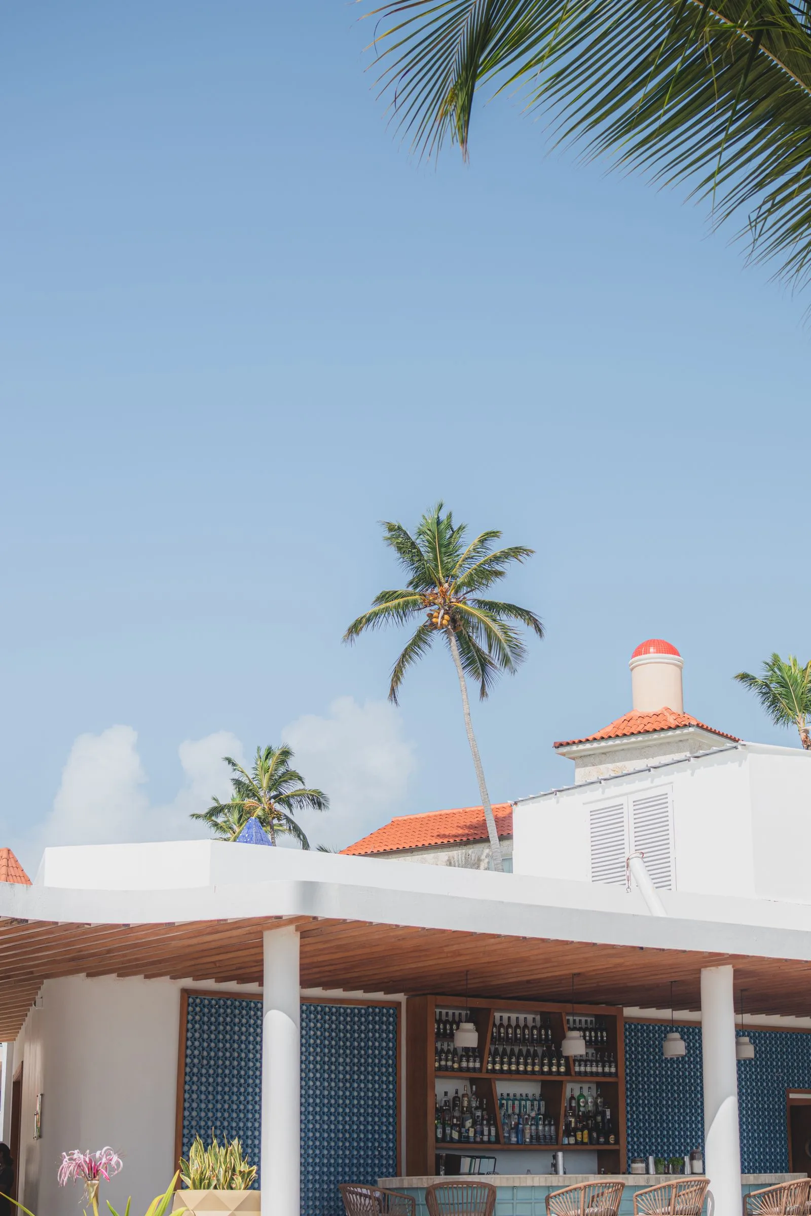 pexels punta cana tropical beach 33392859