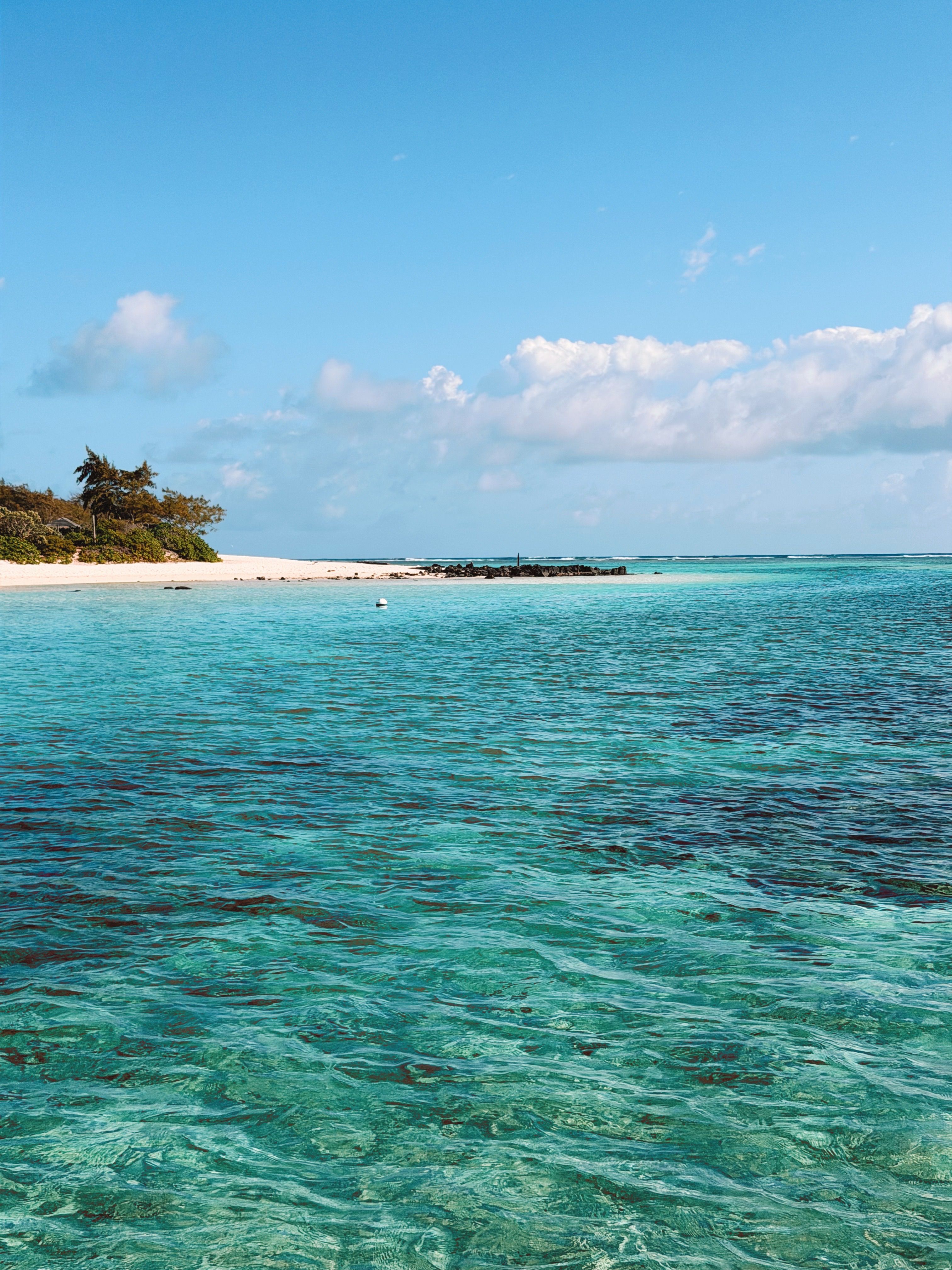 Tropical Caribbean beach with crystal-clear water and palm trees lining the shore