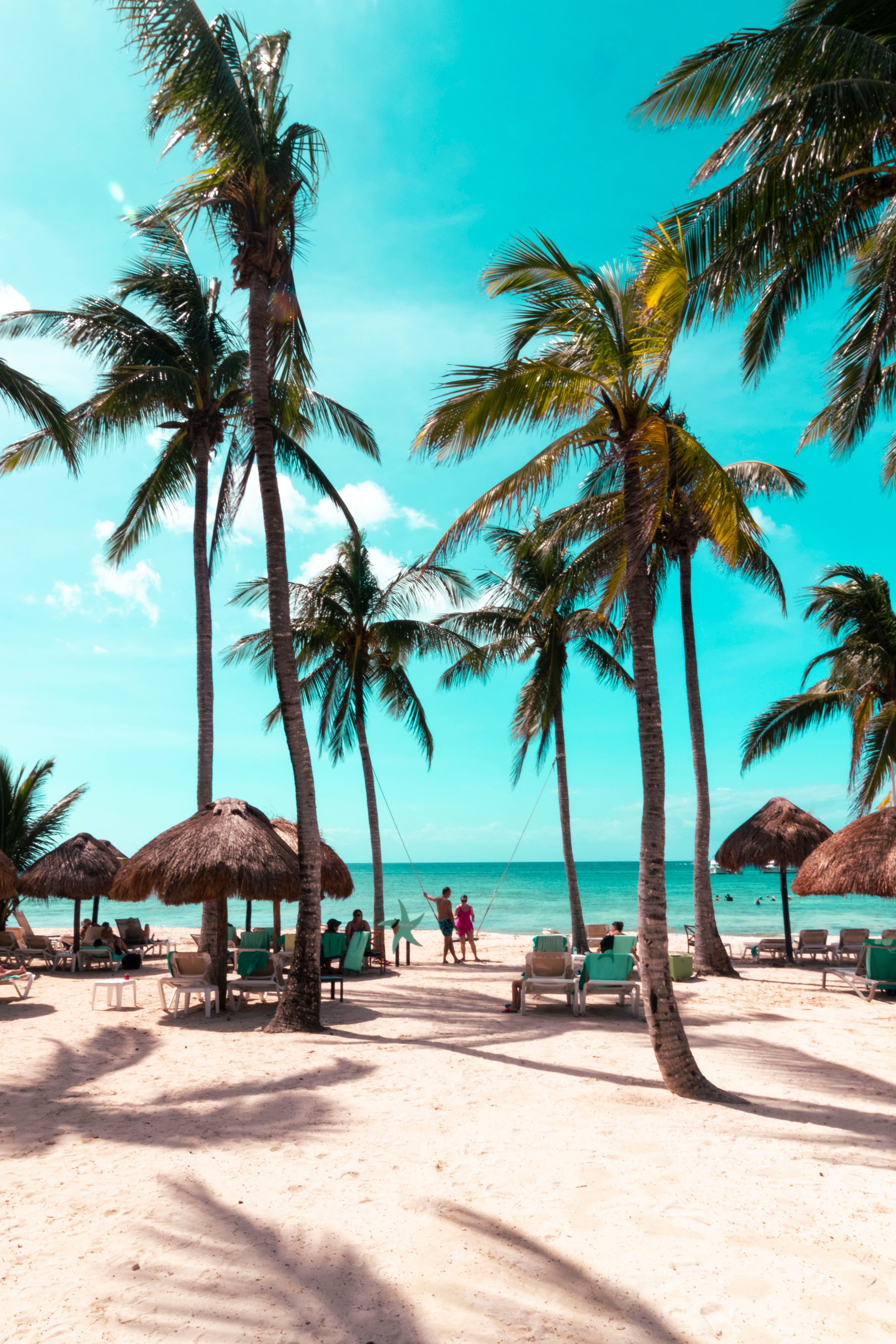 pexels tropical paradise curacao 36758152